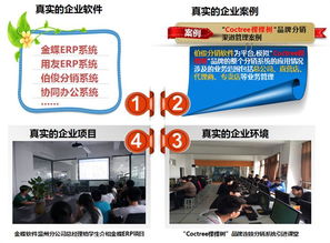 軟件與信息服務(wù) 信息技術(shù)系中的核心驅(qū)動力
